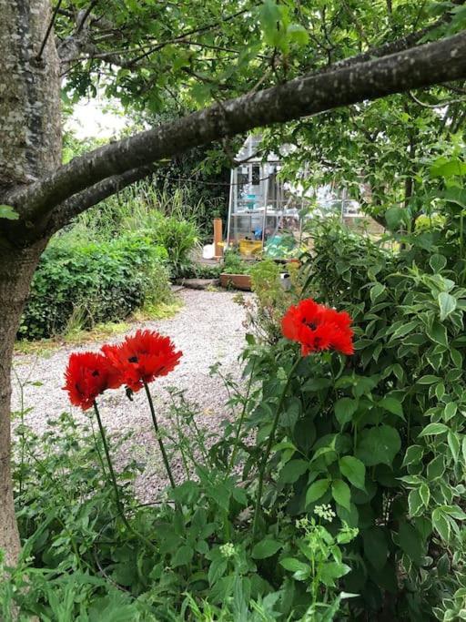 Escape To The Country @ Bron Offa Bach